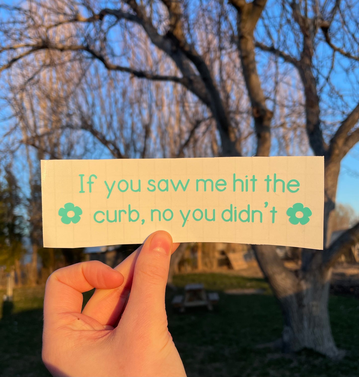 “If you saw me hit the curb, no you didn’t” car decal